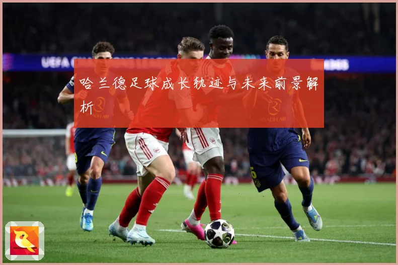 哈兰德足球成长轨迹与未来前景解析