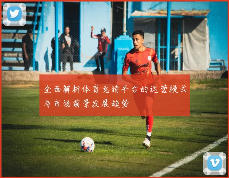 全面解析体育竞猜平台的运营模式与市场前景发展趋势